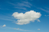 Clouds 5 x 7 Postcards - Individual