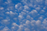 Clouds 5 x 7 Postcards - Individual