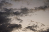 Clouds 5 x 7 Postcards - Individual