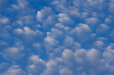 Clouds - Blue and White